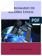 PROBLEMARIO-DE-ALGEBRA-LINEAL-Aaron-Aparicio-Hernandez_2.pdf