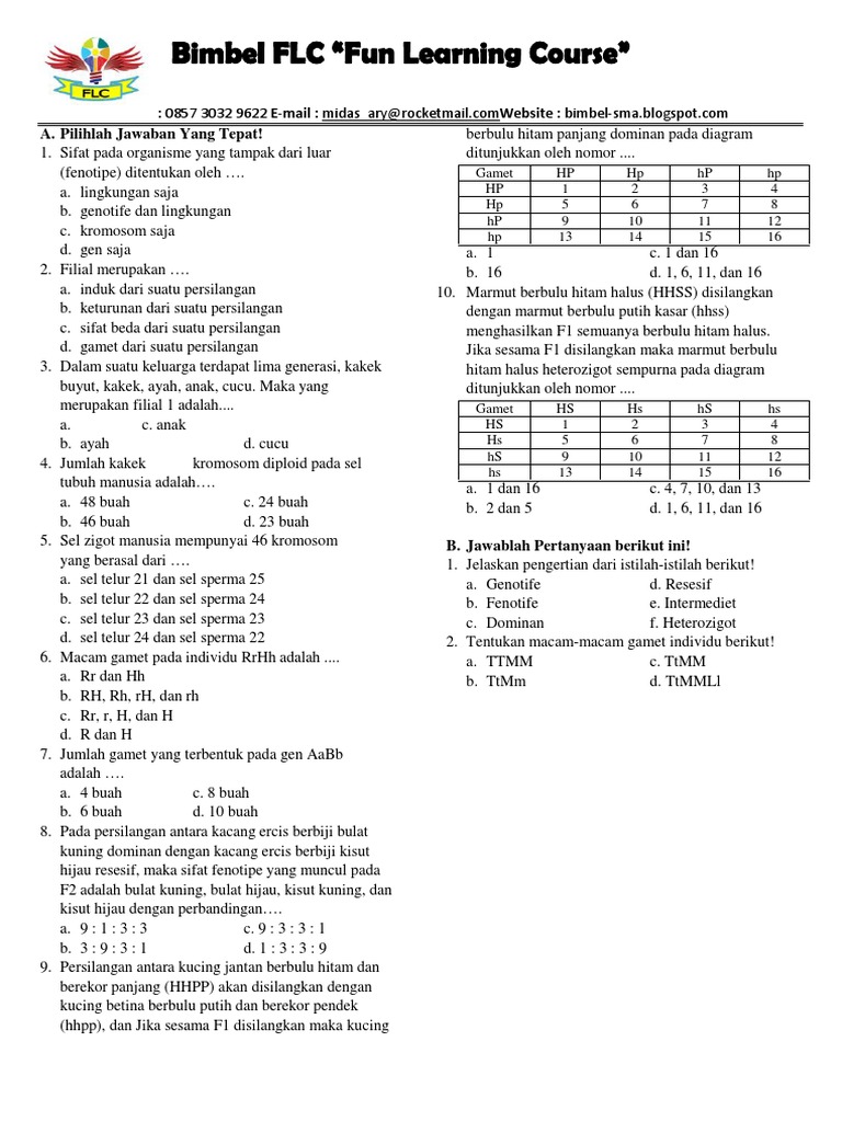 Soal Essay Dihibrid Kelas 9