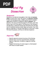 Download Fetal Pig Dissection by rangerblue SN3397211 doc pdf