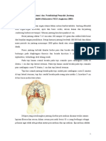 Anatomi Dan Patofisiologi Jantung