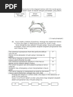 Soalan Dan Jawapan Pertolongan Cemas - Kecemasan n