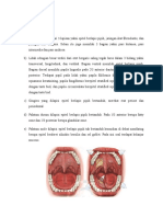 Histologi Cavum Oris