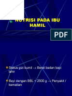 Nutrisi Pada Ibu Hamil