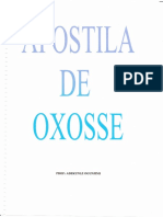 76991533-APOSTILA-DE-OXOSSE.pdf