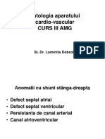 Patologia Aparatului Cardiovascular