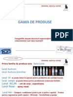 1.4 Gama de Produse PDF