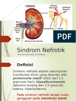 Sindrom Nefrotik