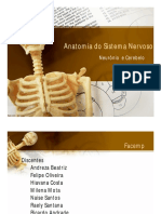 Anatomia Do Sistema Nervoso Neurônio e Cerebelo