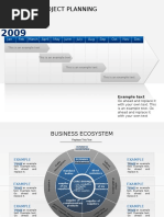 Timeline Project Planning: 12 Months