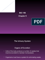 BIO 156 Chapter 9 Powerpoint