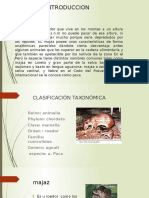 Majáz: Características y aspectos relevantes de la paca en el Perú