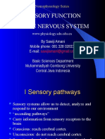 05b-Sensory Function