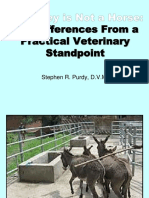 donkeynotahorse.pdf