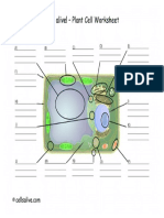 PlantCellModel PDF