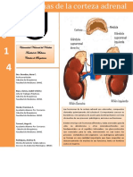 Corteza Suprarrenal 2014 PDF