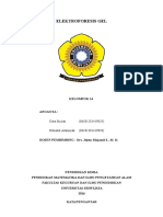 ELEKTROFORESIS GEL ANALISIS