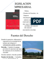 1 Fuentes de Der y Empresa.2012