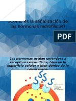 Señalización de Las Hormonas Hidrofílicas