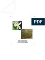 citricas-PDF.pdf