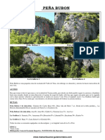 Peña Bubon PDF