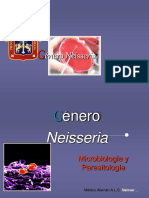 Género Neisseria