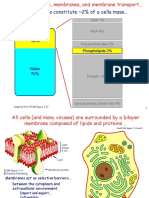 Phospholipids Constitute 2% of A Cells Mass: Chemicals 30%