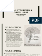 Idk Case 6 - Basic Faal Sistem Limbik