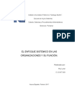 Enfoque Sistematico en Las Organizaciones