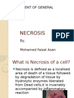 Necrosis - Gen. Pathology