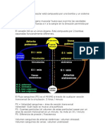 UAI Fisio Cardio