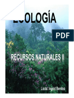 Clase 21 Recursos Naturales Ii PDF