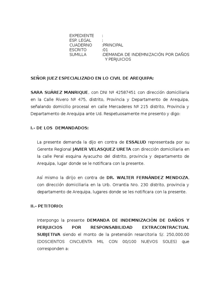 62432188-DEMANDA-DE-DANOS-Y-PERJUICIOS.doc | Causa próxima ...
