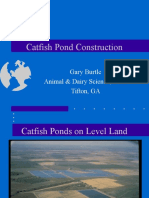Cat Pond Construction 4