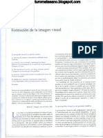 Capitulo 25 - Formación de la imagen visual.pdf