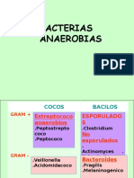 Bacterias Anaerobios