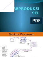 Reproduksi Sel