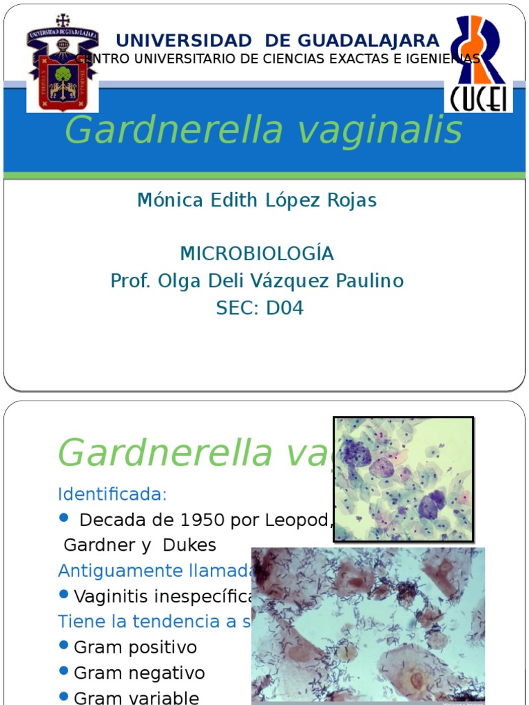 Gardnerella | Vagina | Las bacterias | Prueba gratuita de 30 días | Scribd