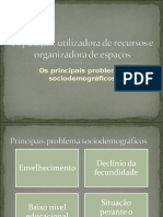 Principais Problemas Sociodemograficos_certo