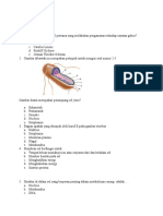 Soal Kognitif.docx