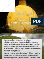 Protista: Kerajaan Organisme Unik