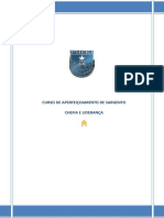 Chefiaelideranca2013 PDF