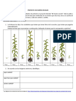 Anexo 2.5 Actividad Multigrado