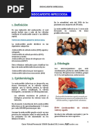 Endocarditis Infecciosa 