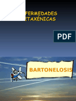 microbiologia Bartonelosis 