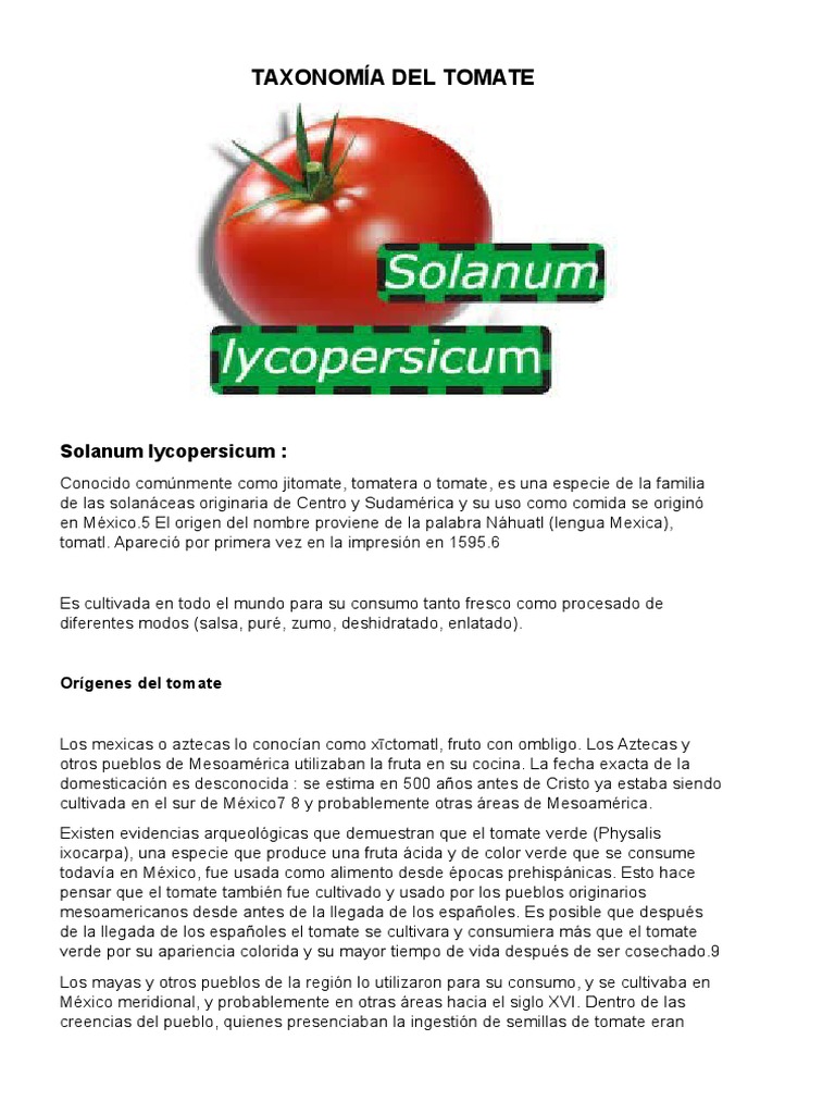 Taxonomía Del Tomate