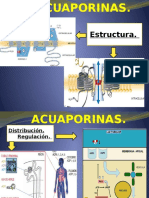 Acuaporinas