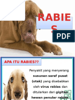 Sap Rabies