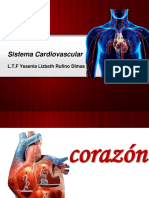 S. Cardiovascular.pdf