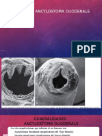 Ancylostoma Duodenale