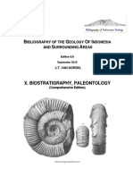 BIG X Paleontology PDF